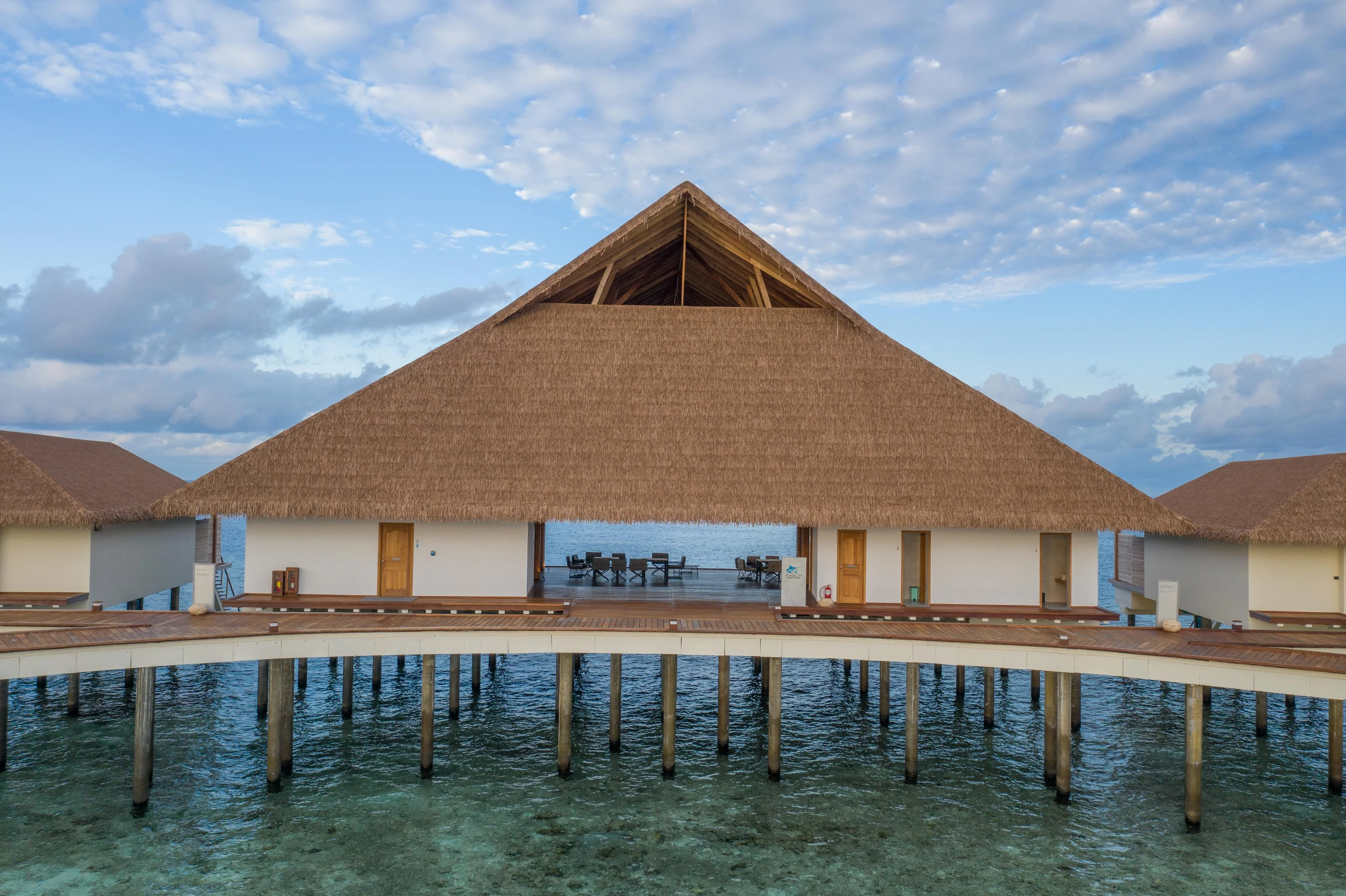 Cinnamon velifushi