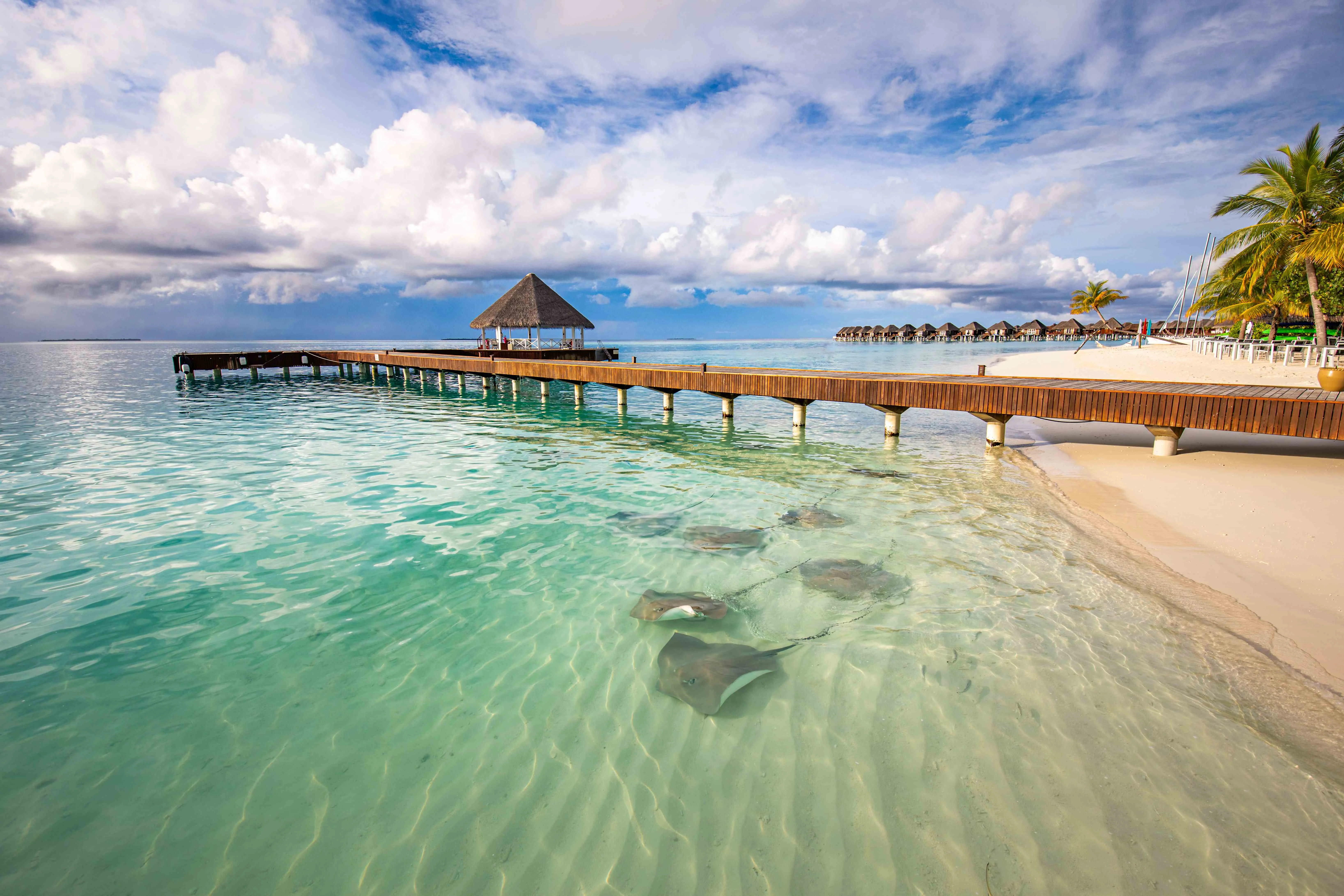 Sun Siyam Vilu Reef Maldives 5