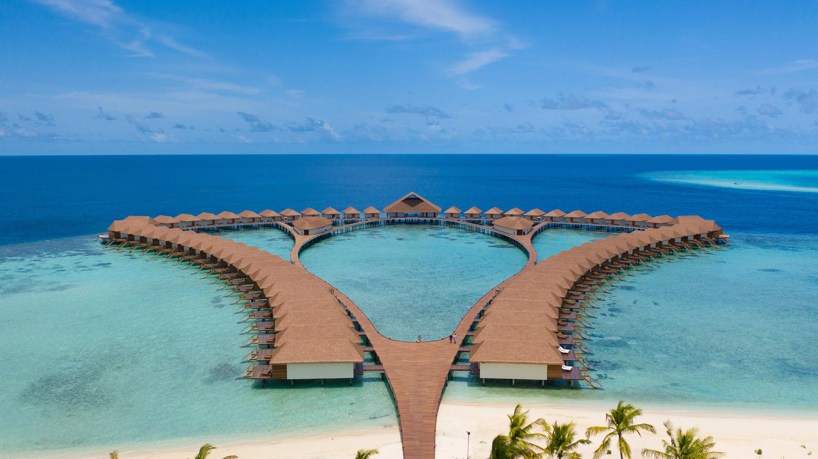 Cinnamon velifushi