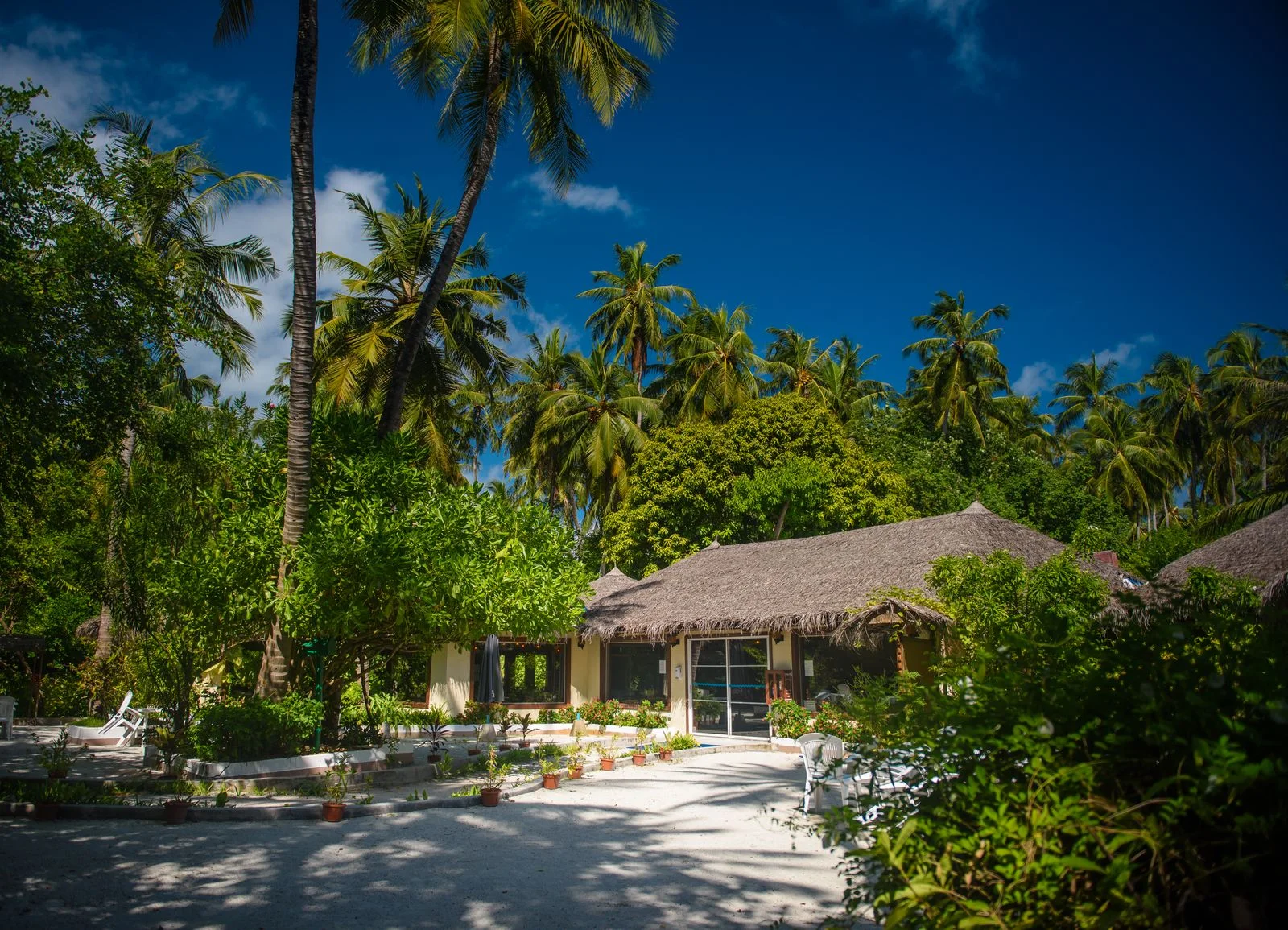 Отель Мальдивы Biyadhoo Island