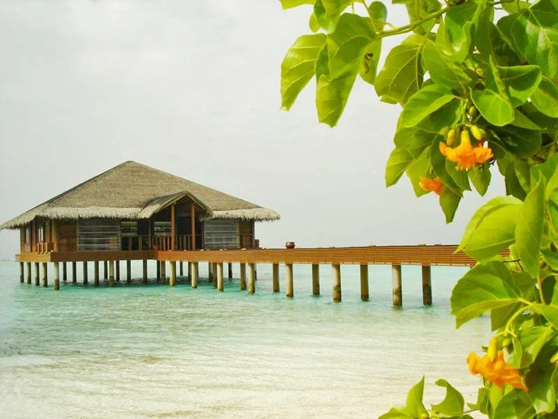 Medhufushi Island Resort 5