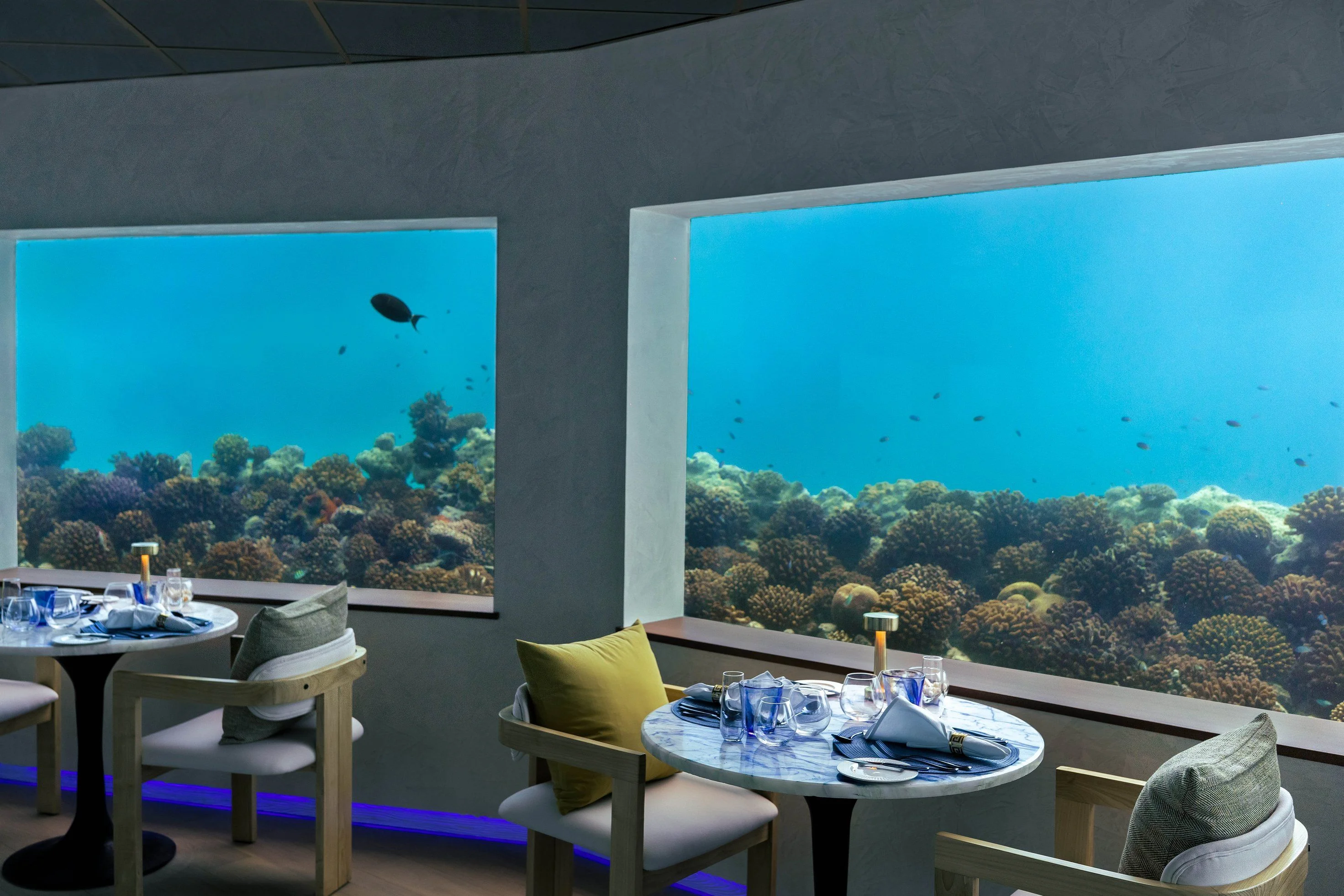 Ресторан 5 8 Undersea Restaurant